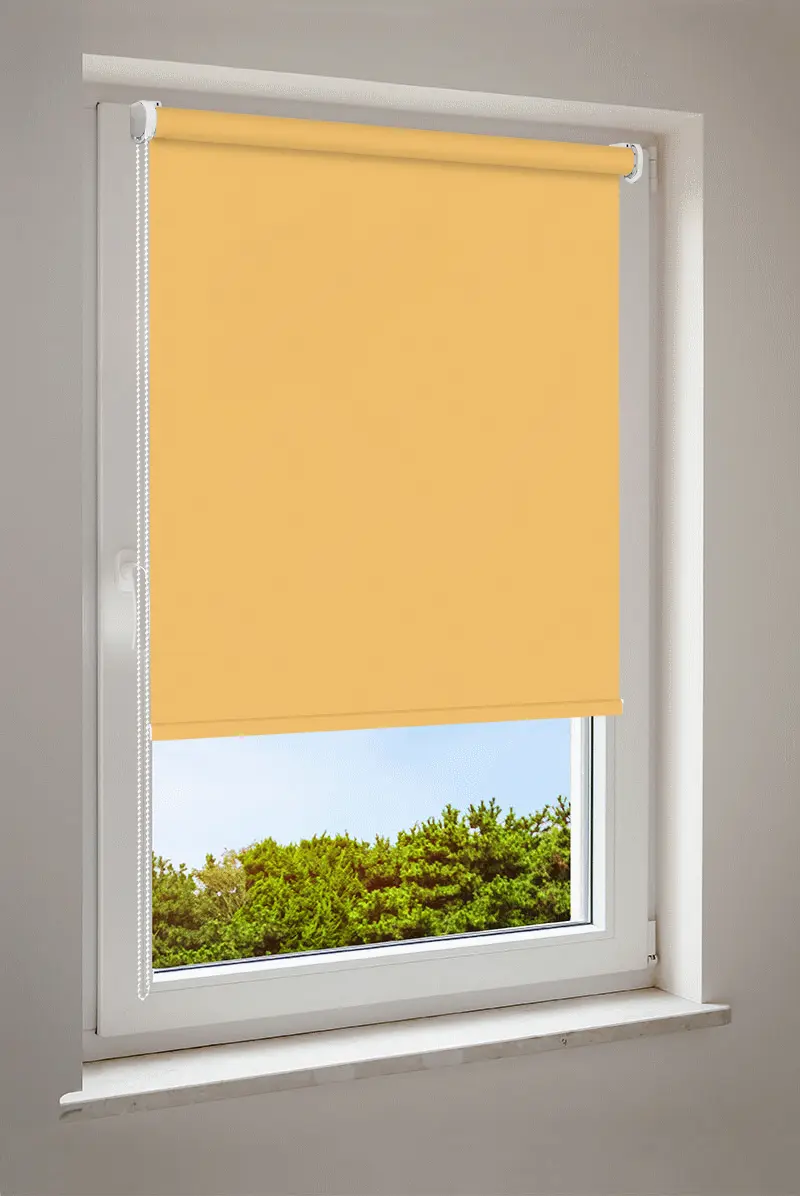 Rollo Hellorange | abdunkelnd