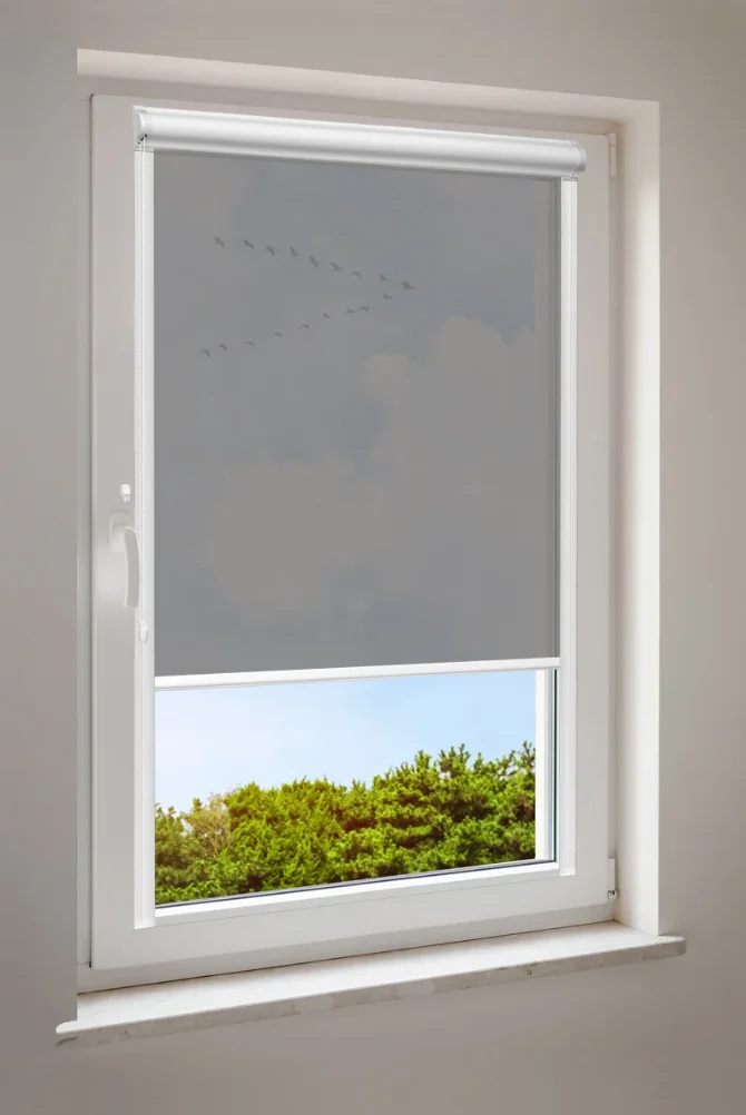 Minirollo halbtransparent (ohne bohren)